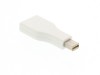 Picture of DisplayPort female to mini DisplayPort male