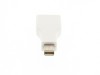 Picture of DisplayPort female to mini DisplayPort male