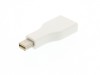 Picture of DisplayPort female to mini DisplayPort male