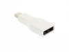 Picture of DisplayPort female to mini DisplayPort male