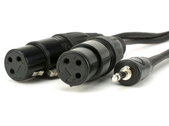 Picture of XLR Y Two Female to One 3.5mm Stereo Plug - 6 FT