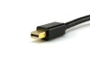 Picture of Mini DisplayPort to DVI Video Adapter