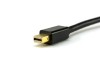 Picture of Mini DisplayPort to VGA Video Adapter