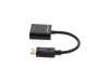 Picture of DisplayPort to DVI-D Video Adapter