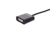 Picture of DisplayPort to DVI-D Video Adapter