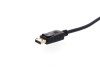 Picture of DisplayPort to DVI-D Video Adapter